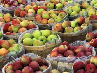 āboli tauku dedzināšanai